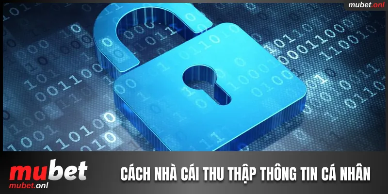 Nhà cái thu thập thông tin cá nhân theo điều khoản chính sách